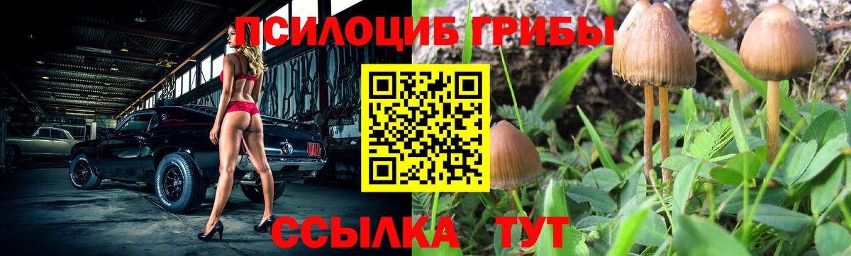Псилоцибиновые грибы MAGIC MUSHROOMS Екатеринбург